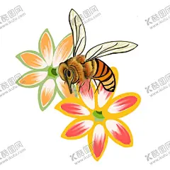 正在采花蜜的蜜蜂插画 【酷图网】手绘蜜蜂,手绘卡通蜜蜂,卡通蜜蜂,可爱蜜蜂,手绘可爱蜜蜂,蜜蜂插画,蜂蜜插画,卡爱,插画,卡通插画,蜂蜜包装,包装,设计