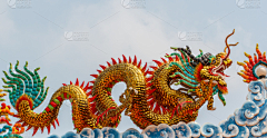 我家瓶子采集到龙