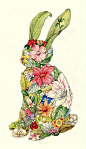 手绘 花 兔子