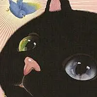 简笔画小猫头卡通头像(9)_WWW.HAIQQ.COM
