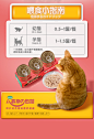 猫罐头幼猫孕猫奶糕 金枪鱼鸡肉慕斯猫咪罐头 猫零食湿粮 80g*6罐-淘宝网