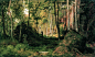 俄罗斯伊凡·伊凡诺维奇·希施金(Ivan I. Shishkin)树林油画作品一