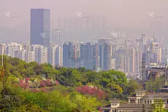 早晨的薄雾。城市景观。洪恩寺森林公园，位于中国重庆市的居民区。