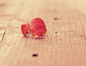 [Without you I am dying-Painless Destiny- 轻音乐 - 听蛙纯音..] 我的灵魂只为你绽放，你是我心底最深的伤痕，你是我心底最深的旧时光；爱的悲伤，爱的甜蜜。你知，你是我永恒的回忆，让温柔的风相伴最温馨的姿势，拥抱你，亲吻你，浇灌着最初的情怀。你是我今生无法丢掉的时光。尽管只是旧时光。阴暗的蔓延在黑夜之间。纠缠着内心最潮湿的地方。（试听请点击右下角网址）喜欢更多纯音乐请关注： @听蛙纯音乐网