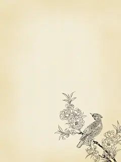 复古信纸底素16张 古风插画牛皮纸 简约干净 - 小红书