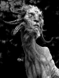 Brom Faun, Greg Strangis : Hey Everyone!

Here is a super fun project I started a few weeks ago inspired by the always incredible Brom!

Went off a painting of his and had some fun working it up. Faun's are one of my favorite creatures since I was a kid. 