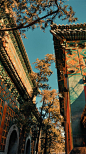 "
人生百年，转眼成空。
幸福靠的不是缘分，而是珍惜。 ​​​
"