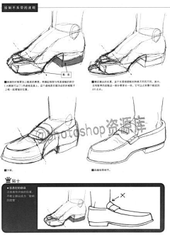 bigzhong采集到人体结构