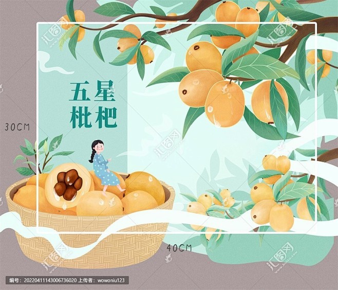 【源文件】枇杷手绘水果包装设计
