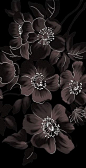 Fashion,Beauty,Landscape,Home Designe,Sexy Girls.  blabk flowers