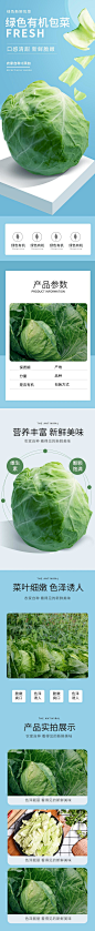 绿色有机包菜蔬菜电商详情页-众图网