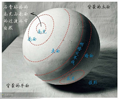 空白yajun采集到素描