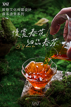 逗逼设计狮采集到茶-方向