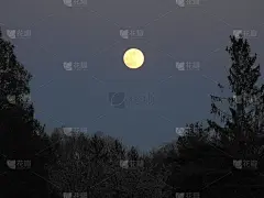 粉红色的望月