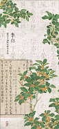 @品牌设计视觉 的个人主页 - 微博