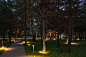 湖边童话般的林地花园 / Djao Rakitine Landscape Architecture – mooool木藕设计网
