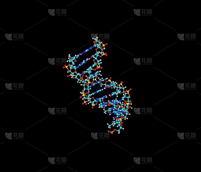 黑色上分离的DNA螺旋分子素材-花瓣网