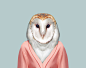 Barn-Owl---Tyto-Alba-copia