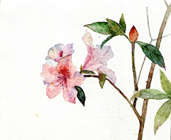 MM在干嘛采集到插画