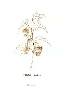 线稿 - 高清图片，堆糖，美图壁纸兴趣社区