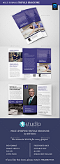 Corporate Trifold Brochure 05 - Corporate Brochures