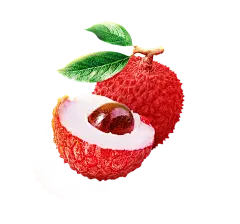 荔枝(1)