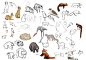 Zoo Life Studies by Zukitz