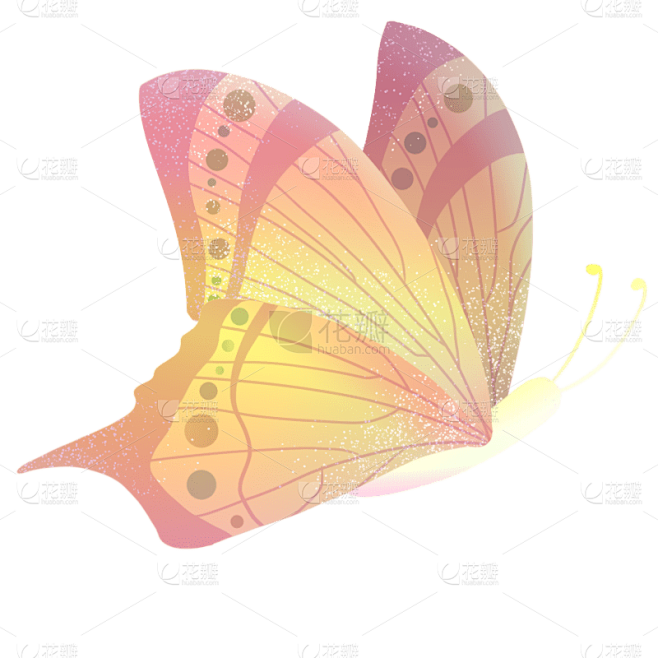 手绘渐变蝴蝶9