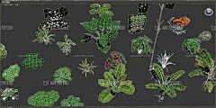 40多种高清植物 简模 森林 树木 花草 奇异植物 香蕉树 树叶 小花小草 蔓藤 树藤