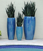 Pamela Crawford, the designer of this Delray, Florida home, took a photo of this pool to the pottery warehouse to hand-pick these planters that mirror the blues in the water and tile. See more of Pamela's south Florida container gardens at www.pamela-craw