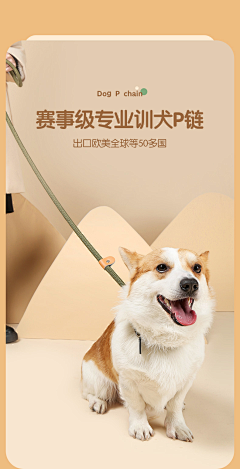 ︶rosemary╮采集到宠物主图详情