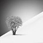 Snowscapes | Vassilis Tangoulis