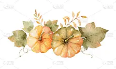 水彩秋天花束的叶子，树枝和南瓜孤立在白色的背景。