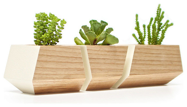 Boxcar Planter Set, ...