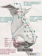 素描头像训练中五官鼻子画法详解_湖北艺考论坛_家长100教育论坛 - 手机版