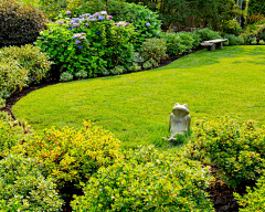 Garden-Liu采集到B庭院元素——草坪