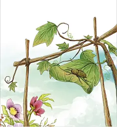 昆虫记内插 海报网时装插画