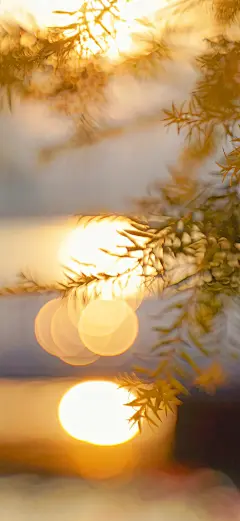 秋日暖色系壁纸