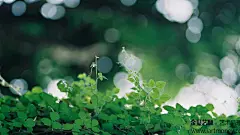 手机壁纸—安卓壁纸-iPhone壁纸-手机墙纸-锁屏壁纸-iPhone摄影-手机屏保 #素描# #水彩# #背景图# #壁纸# #小清新#