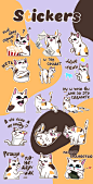 Telegram Stickers 'Not Today Cat' | Стикеры : Telegram Stickerpack