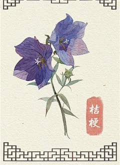 4IXzJocn采集到花素材