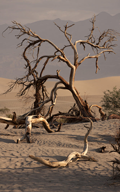 LockLee采集到Z自然景观-沙漠