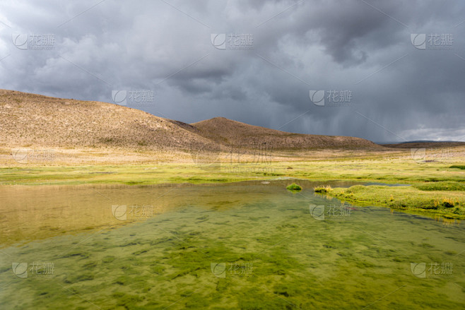 秘鲁,湿地,云景,灰色,环境,云,草,户...
