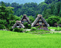 日本 稻田