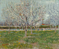 1221px-Vincent_van_Gogh_-_Orchard_in_Blossom_(Plum_Trees)_-_Google_Art_Project.jpg (1221×1024)