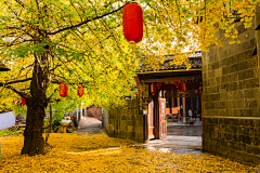 用户s83hOwcN采集到摄影