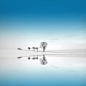 Photograph Blue Season by Philippe Sainte-Laudy