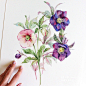 #Natalia Tyulkina##水彩##植物#