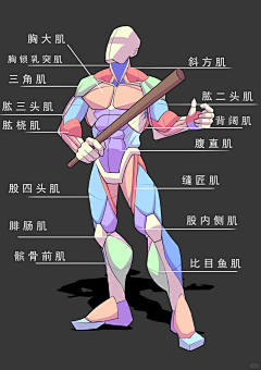 超高校级穷人采集到人物-动态/人体透视