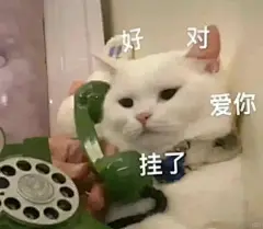 和男朋友吵架的生气猫猫表情包第八弹 - 小红书